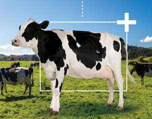 DeLaval Plus.png