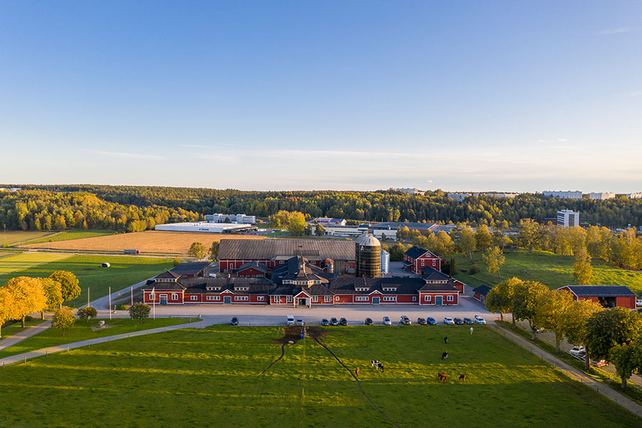 Hamra-big-barn_aerial2-lowres.jpg