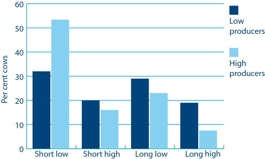 Nagy hozamú tejtermelő teheneknél rövidebb az ivarzás és kisebb az aktivitási szint. (Forrás:Lopez et al., 2004)