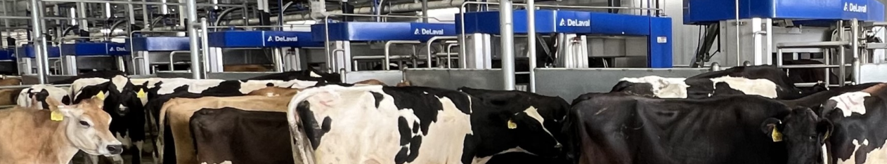 Vms Batch Milking Webinar Series - Delaval