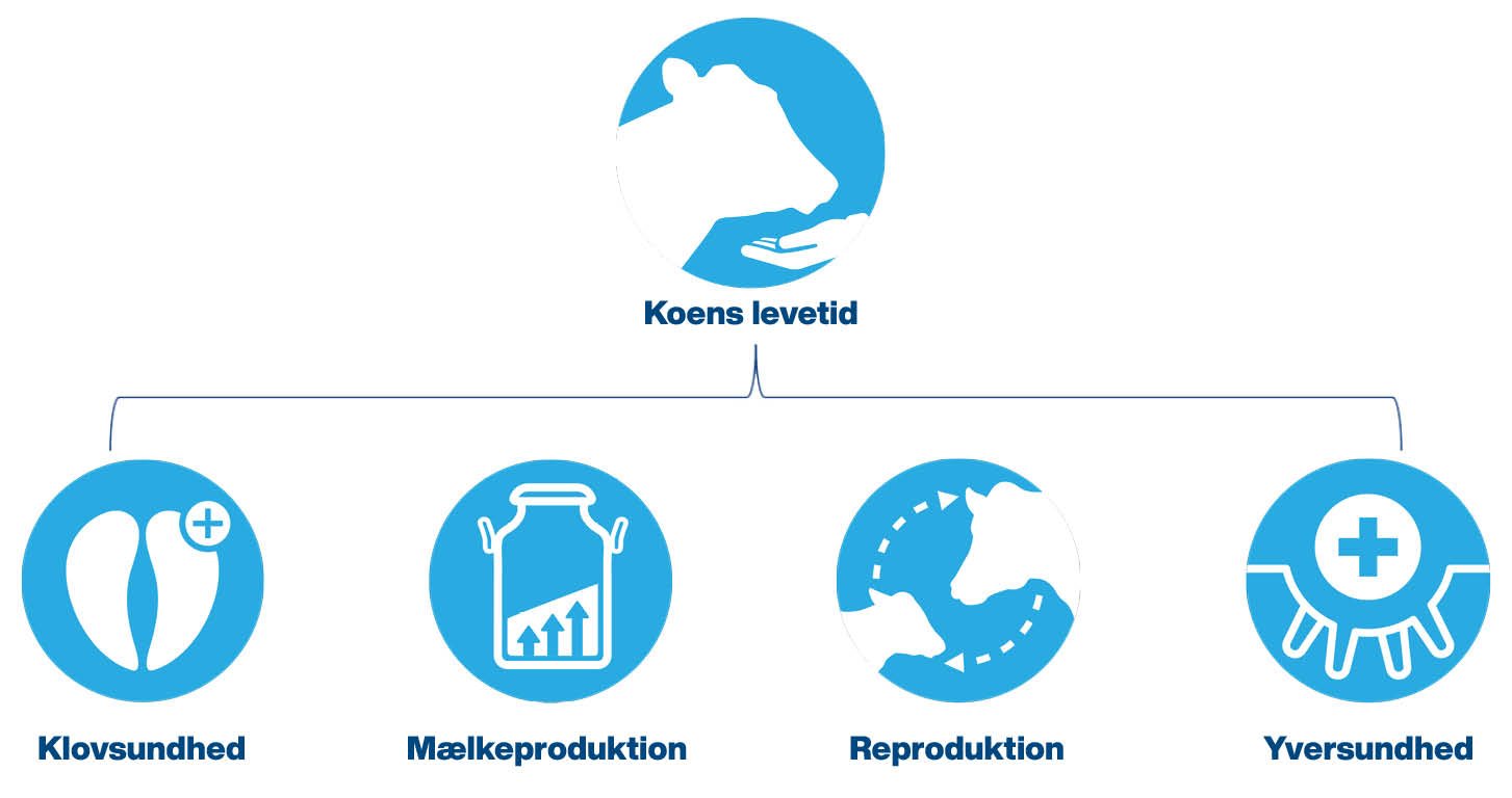 Ikoner CowLongevity