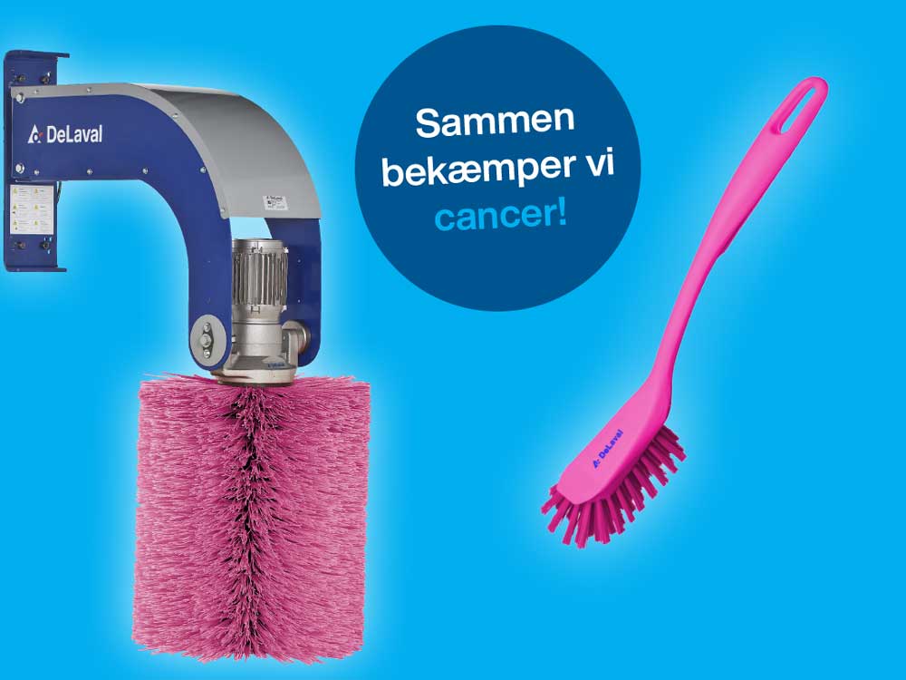 Pink kampagne