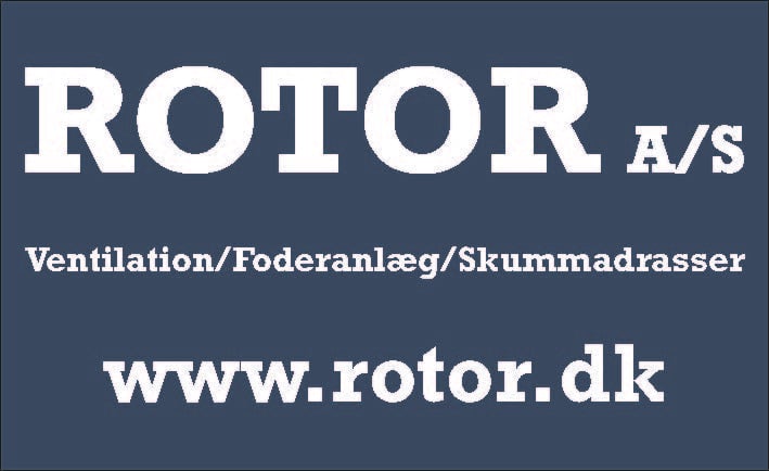 Rotor