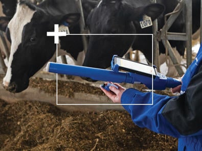 DeLaval Plus Behavior Analysis Helps Find Sick Cows Faster