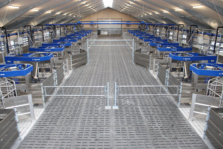 Ferme-Lonholm-Agro_batch-milking_24-DeLaval-VMS-fr.jpg