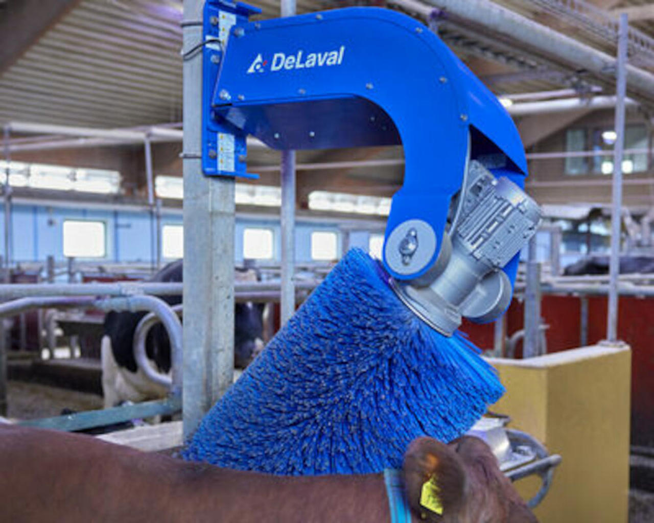 Eccentric brush cylinder SCB - DeLaval