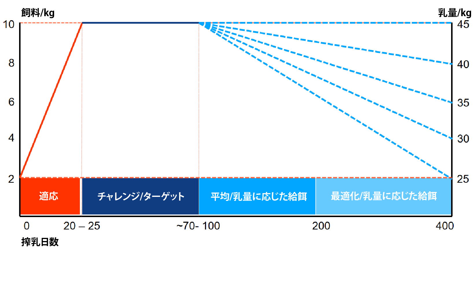 チャレンジ給餌戦略1R.png