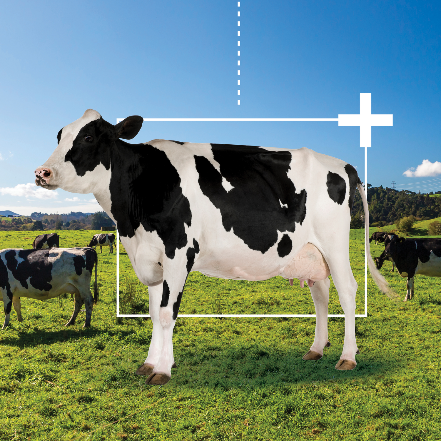 extra-DEG0811 DeLaval Plus - Marketing Package Proposal - Social 1080x1080 v1b4.png