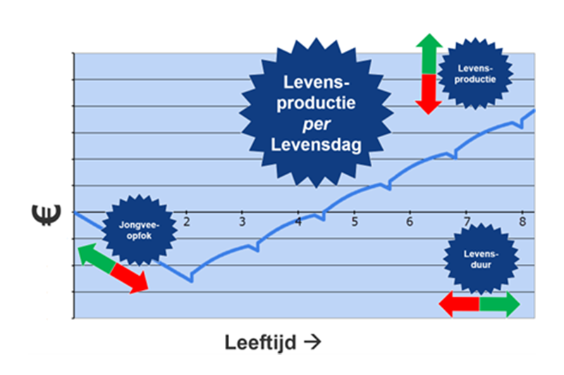 Grafiek leeftijd en opbrengst is levensproductie 800x533.png