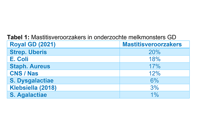 Tabel mastitis veroorzakers 800x533.png