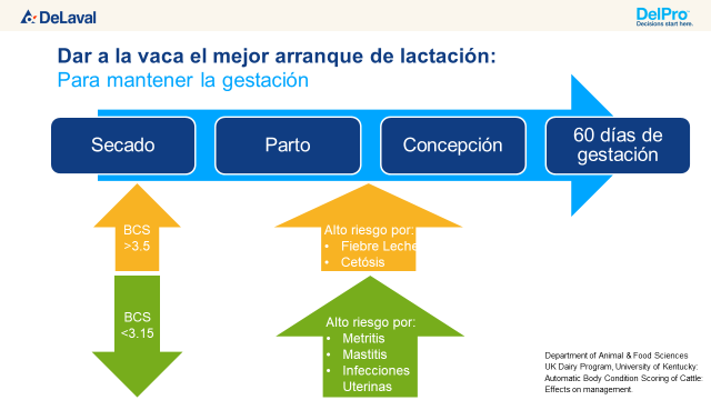 DeLaval-BCS.png