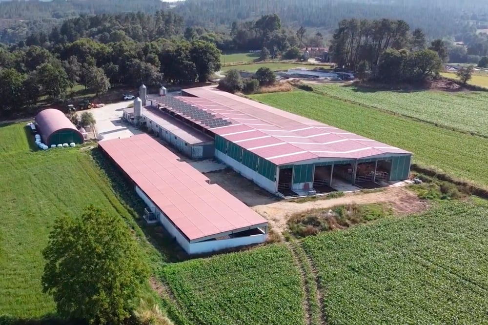 ganaderos-delaval-ganaderia-casa-das-pedras-dron