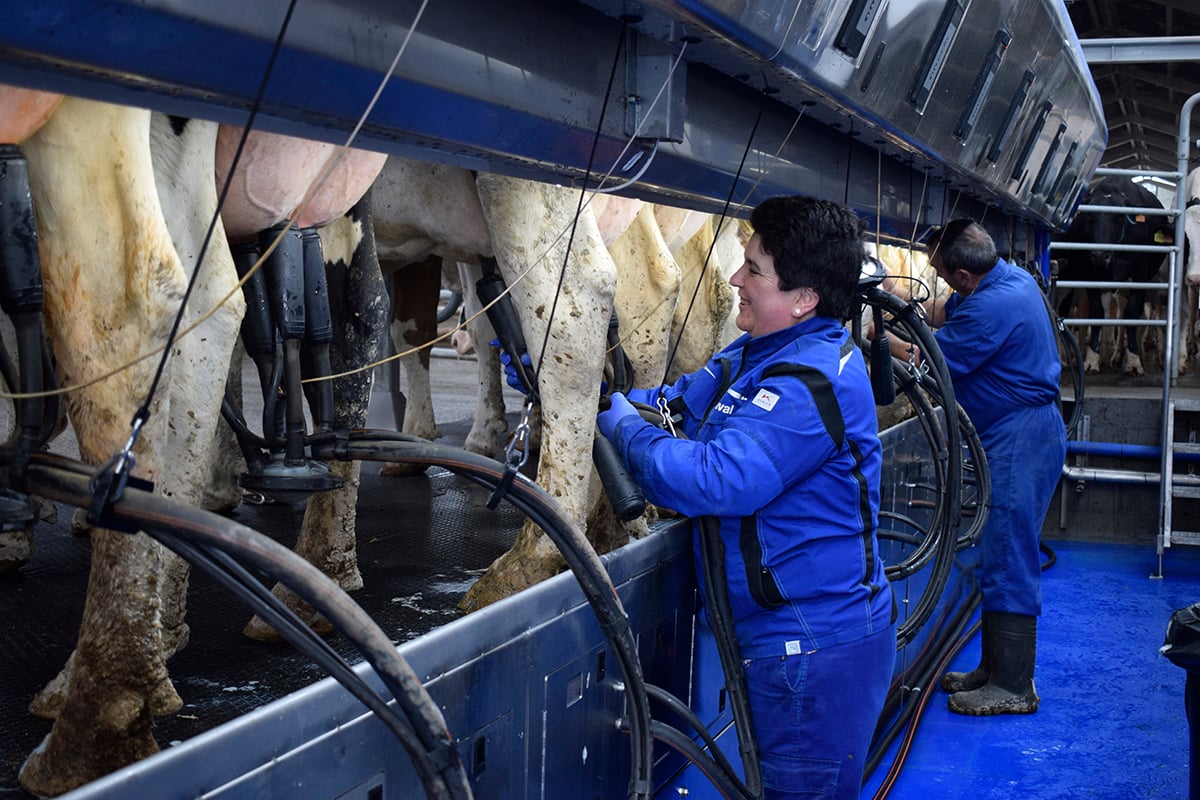 delaval-ganaderia-foxo-sala-ordeño-paralelo-p500-ordeño