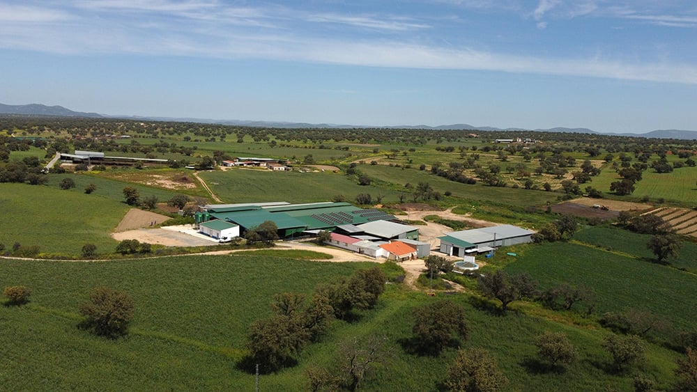 granja de vacas la ciguñuela