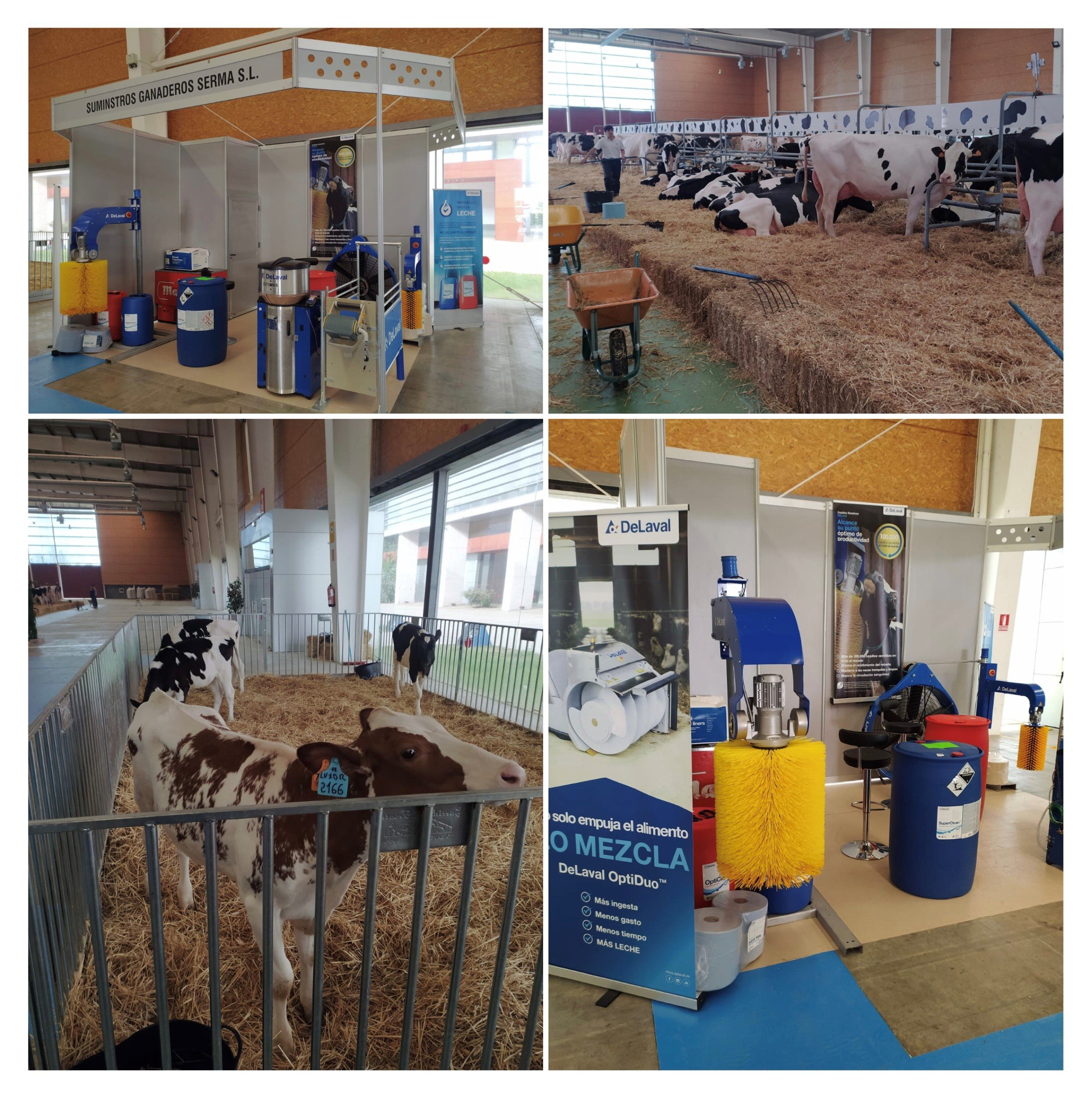 DeLaval-III Open Frisón Talavera-PWS.jpg