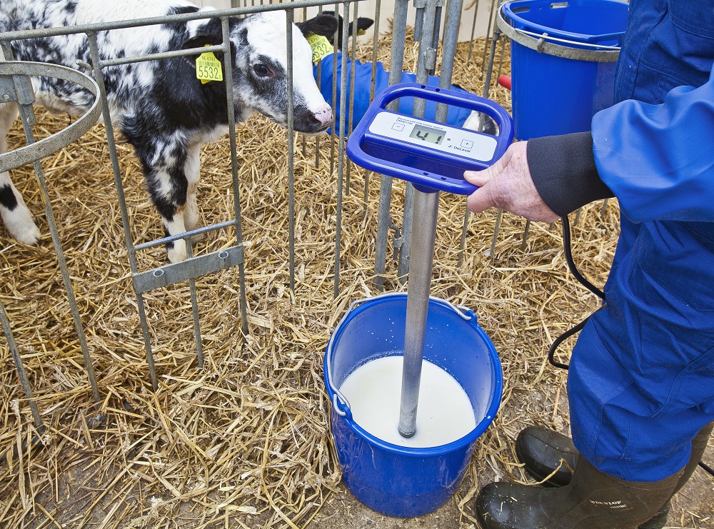 calentador leche terneras