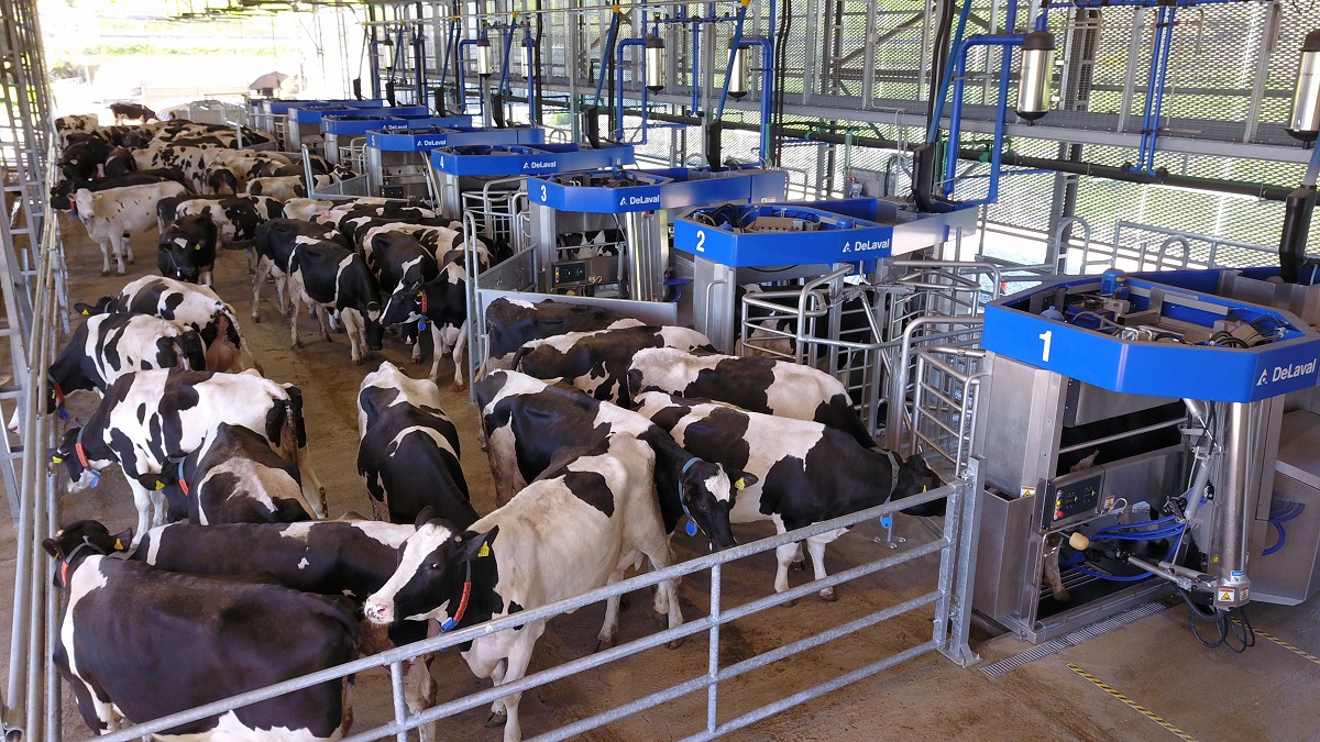 robot de ordeño delaval vms batch milking