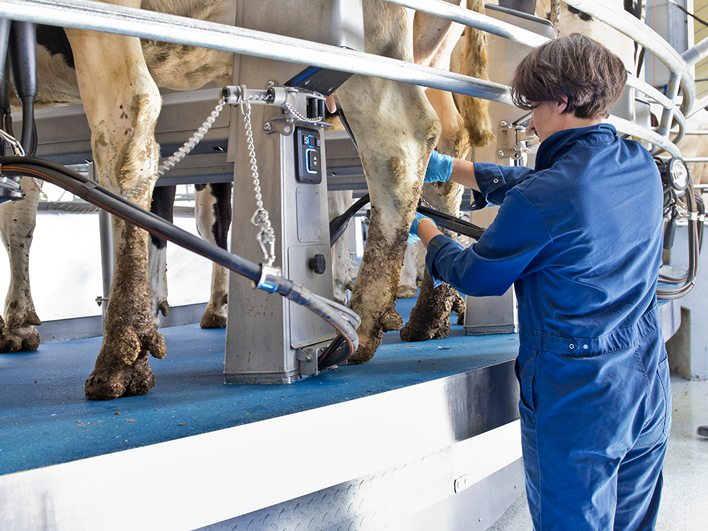 DeLaval-think-big-grandes-rebaños-E300