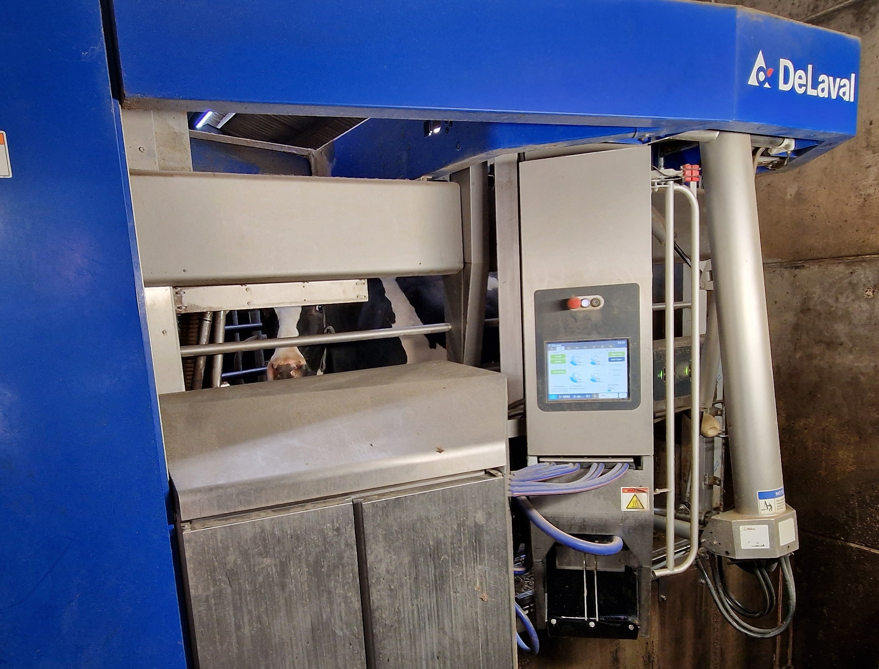 DeLaval VMS milking robot installed on Tony Blamire Farm